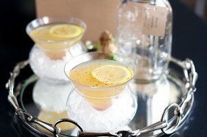 The Bushwick Spice Trade Cocktail by Mason Shaker