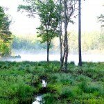 Serenbe lake